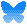 bluesky